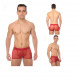 Cueca  masculina transparente