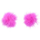 Nipple seios pompom